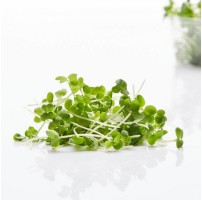 Micro Greens - Mustard (50gms, Harvested)