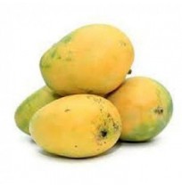 Mango - Panchavarnam (Native Sweet Variety, take 3-5 days to ripen)
