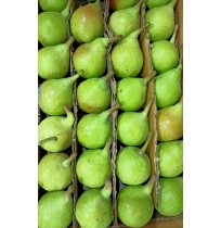 Pear from Shimla 