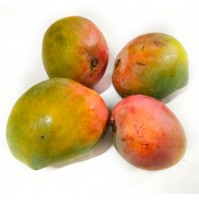 Mango - Peethar  turns half yellow