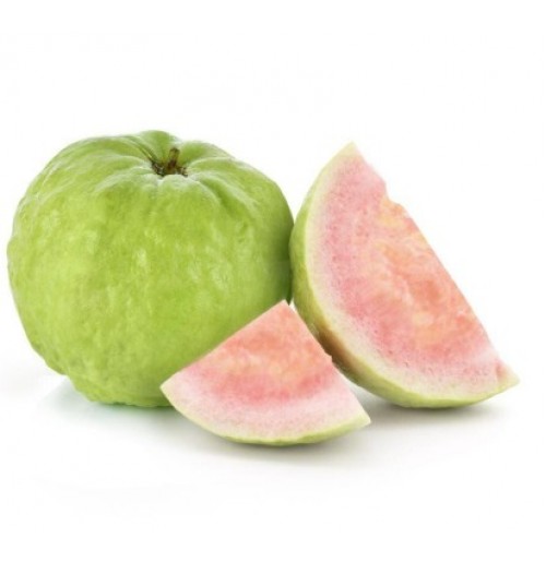 PINK Guava Taiwan (Big Size)