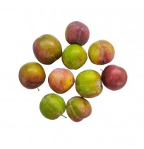 Plums Frontier  (Really Sweet, From Himachal, 650gm Box)