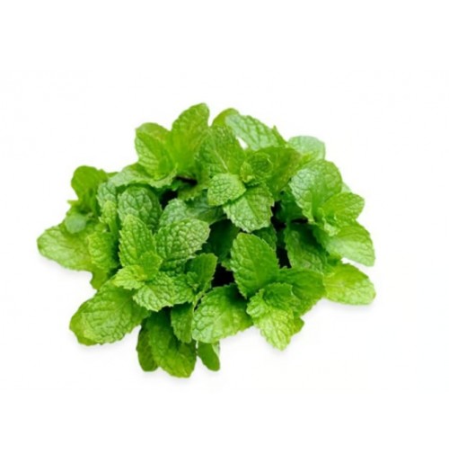 Ready to Use - Pudhina (Mint) - Root Cleaned (50gm Plastic Box)