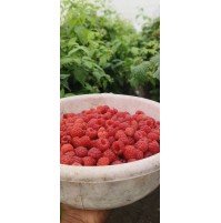 Raspberry (125gms)