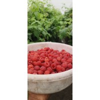 Raspberry (130gms)