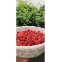 Raspberry (125gms)