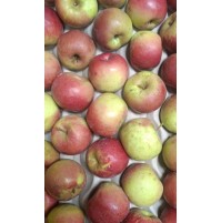 Apples - RED Golden (small/ med size, from Shimla)