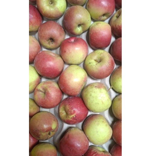 Apples - RED Golden (small/ med size, from Shimla)