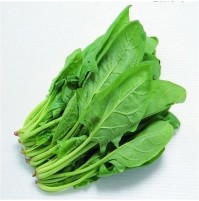 Ready to Use - Palak - Root Cleaned (100gm Box)