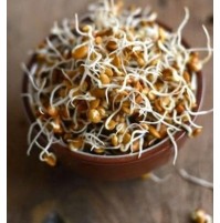 Ready to Use - Sprouts - Horse Gram (200 Gms Box)