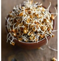 Ready to Use - Sprouts - Horse Gram (200 Gms Box)