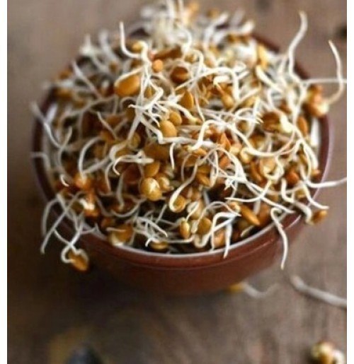 Ready to Use - Sprouts - Horse Gram (200 Gms Box)