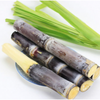 Sugarcane - (4 small pcs)