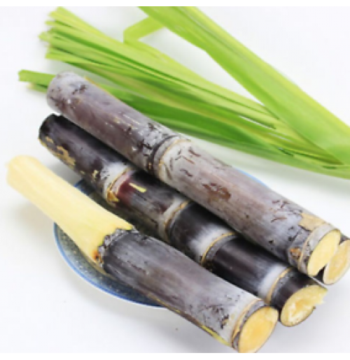 Sugarcane - (4 small pcs)