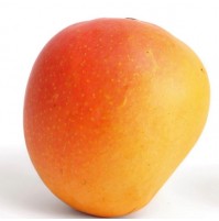 Mango - Suvarnarekha (Ripen in 2-3 days, From Visakapatanam)