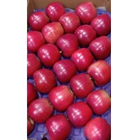 Apples - TREX Gala (Big Size, Premium from Kashmir)