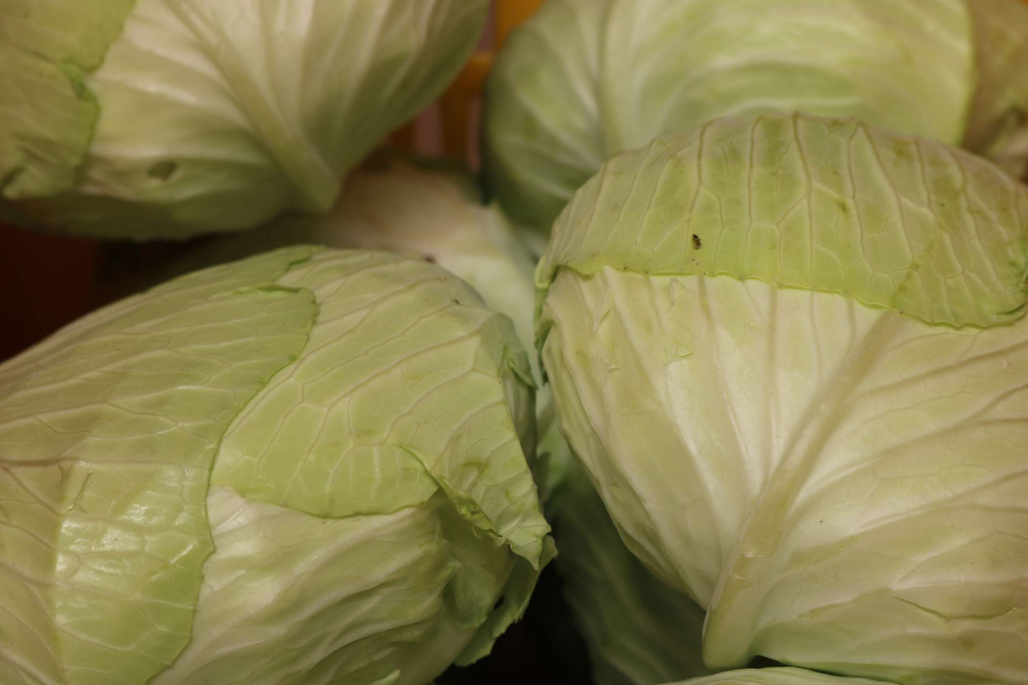  Our Pesticide Residue Test Result for Cabbage is Here