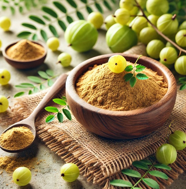 Incredible Benefits of Amla Powder for Health and Beauty