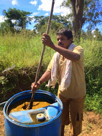 Jeevamrutham, the traditional natural fertilizer